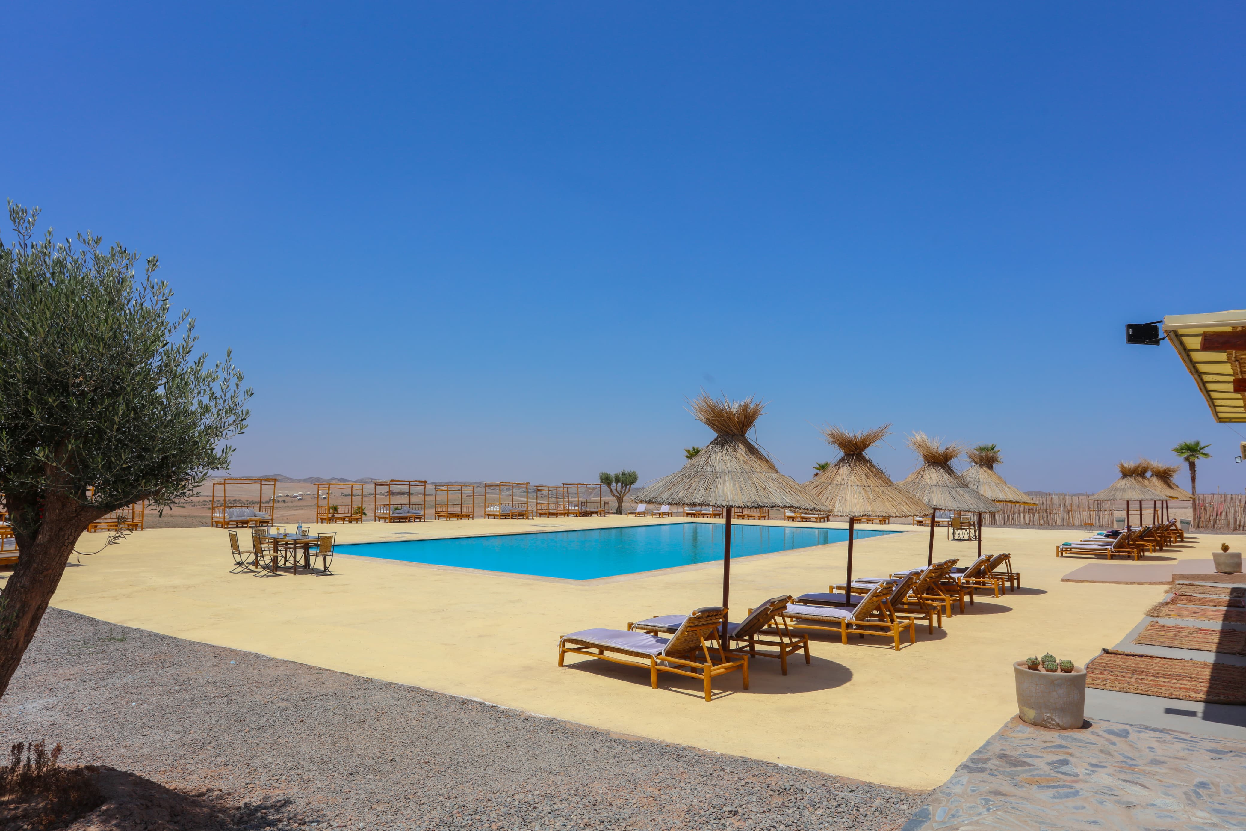 WhatsApp Image 2025-03-21 à 22.41.13_d10a5981.jpg